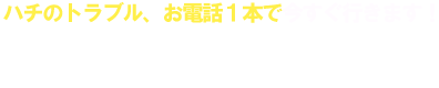 ハチのトラブル、お電話1本で今すぐ行きます！ 0120-8-89-849
