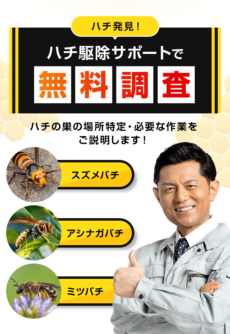 ハチの巣の場所特定・必要な作業をご説明します!