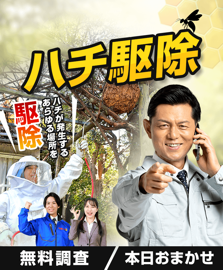 ハチ駆除 ハチが発生するあらゆる場所を駆除