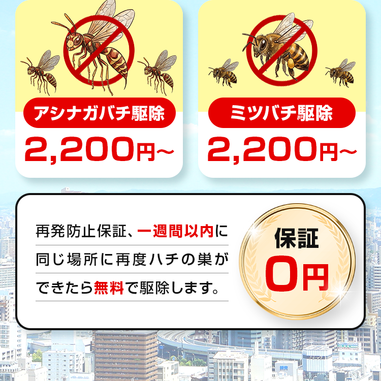 再発防止保証、一週間以内に同じ場所に再度ハチの巣ができたら無料で駆除します。