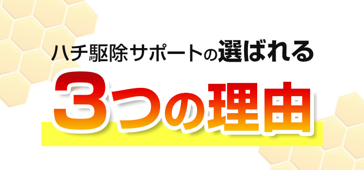 こんな症状はありませんか?ハチ被害の例