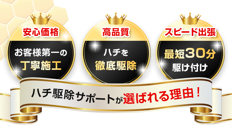 ハチ駆除サポートが選ばれる理由!